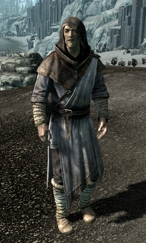 Wizard (Dragonborn)