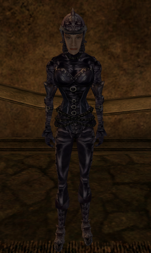 Domina armor