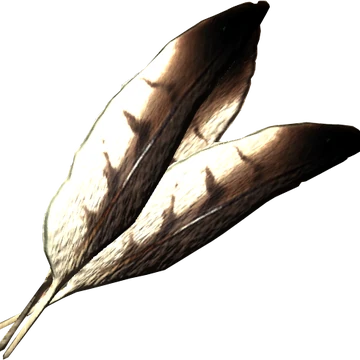 Hawk Feathers Elder Scrolls Fandom