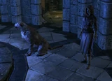 Brelyna dog.png (425 KB) Brelyna transforming the Dragonborn into a Dog