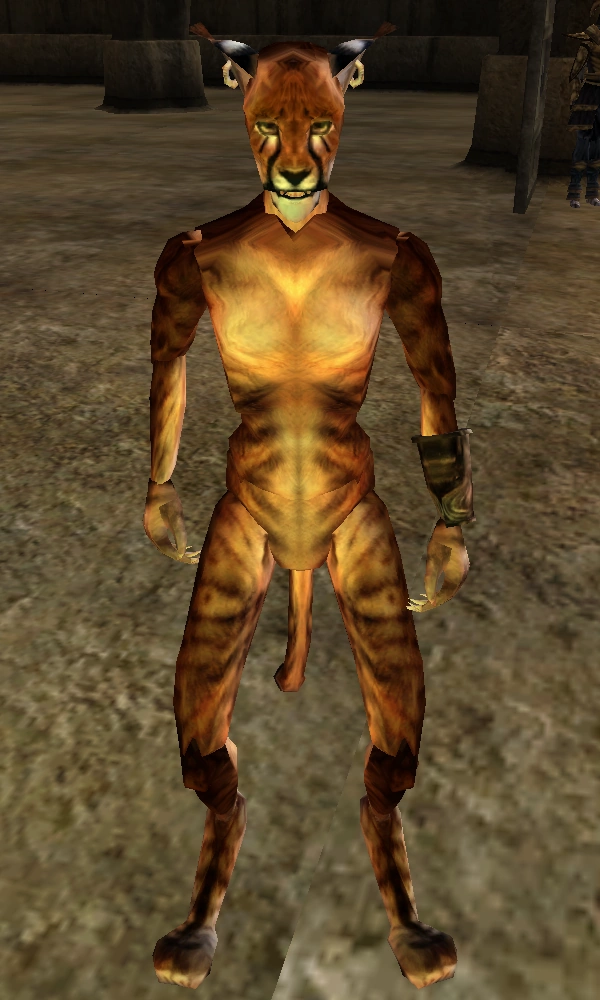 pretty kitty pictures