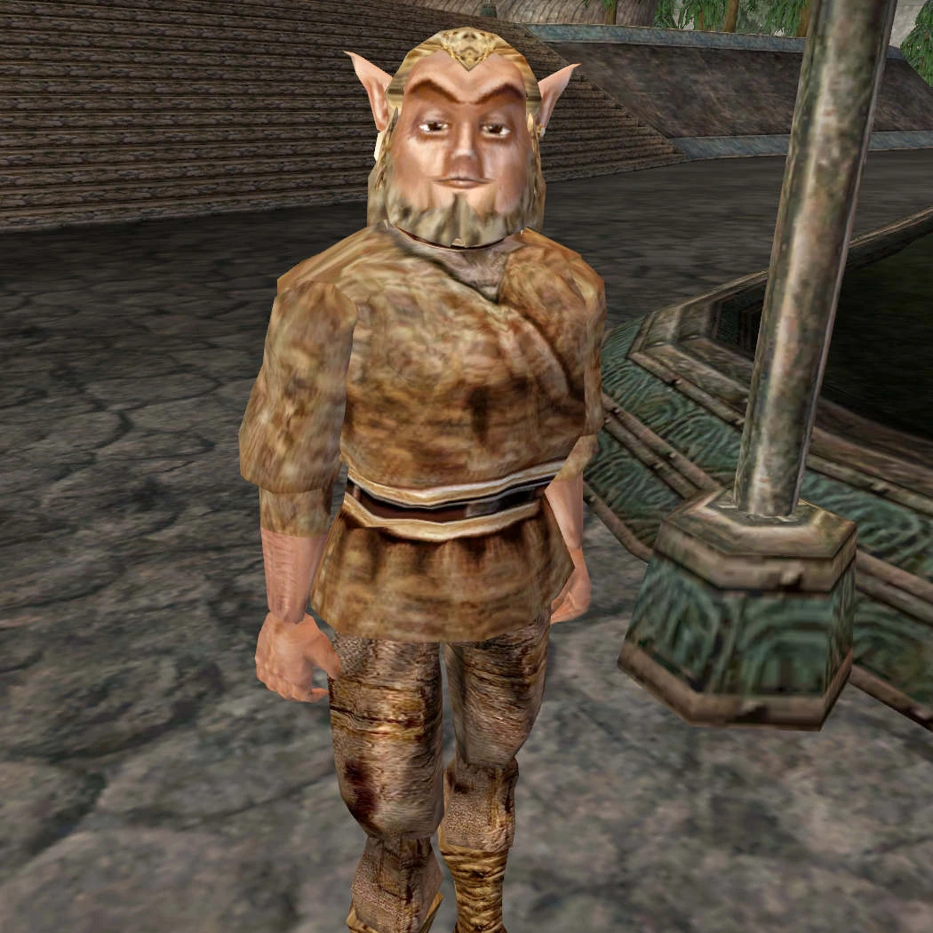 Идиот The Elder Scrolls Wiki Fandom