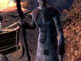 Sister Terran Arminus