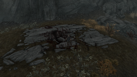 Whiterun dead guard