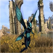 Turquoise Nixad z gry The Elder Scrolls Online