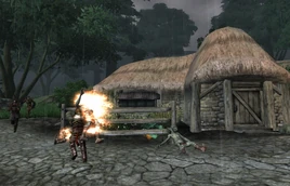 Infiltration (Oblivion) Killing