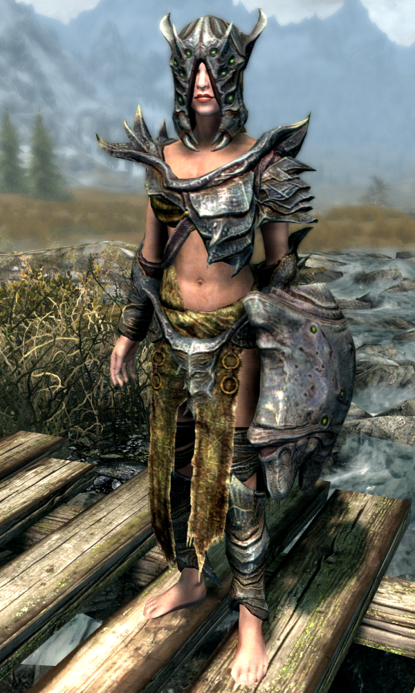 https://static.wikia.nocookie.net/elderscrolls/images/b/b5/Falmer_Armor_-_Female_%28Skyrim%29.png/revision/latest?cb=20200325175047