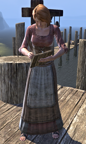 Harbormaster Reine