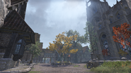 The city of Leyawiin.