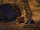 Яичная шахта Инаниус (Online: Morrowind)