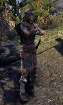 Ashlander Guard