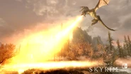 SkyrimSwitch Dragon.jpg (1.64 MB)