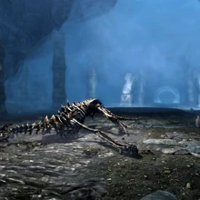 Labirintian Skyrim The Elder Scrolls Wiki Fandom