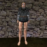 BM_Wool01_shirt