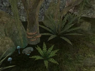 Флора Горького Берега 02.jpg (644 КБ) Флора Горького берега