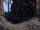 Родовая гробница Омаренов (Online: Morrowind)