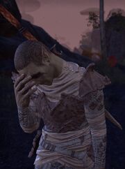 An Armiger's Duty 8.jpg