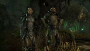 Two High Elves