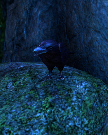 Duc Des Corbeaux Wiki The Elder Scrolls Fandom Duc Des Corbeaux Wiki The Elder Scrolls Fandom