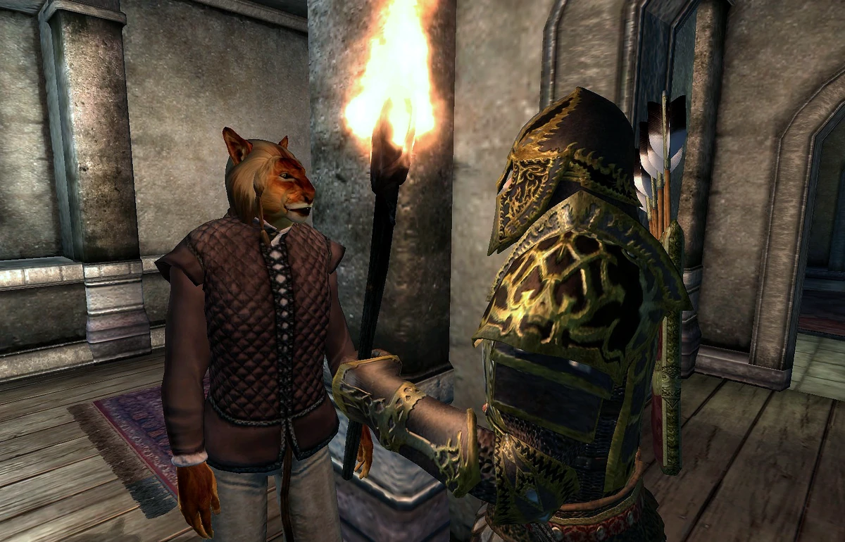 Light Armor Training Elder Scrolls Fandom