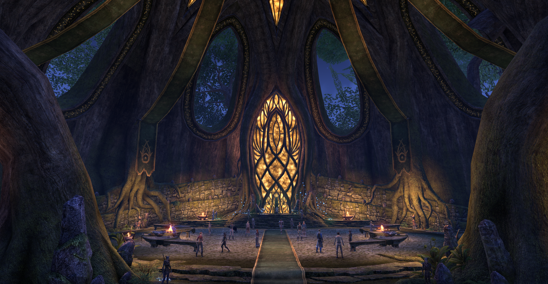 the elder scrolls games 6 valenwood