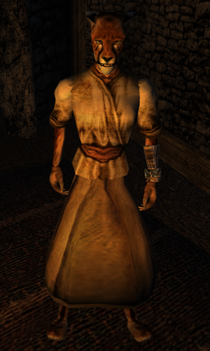 Shivani (Morrowind)