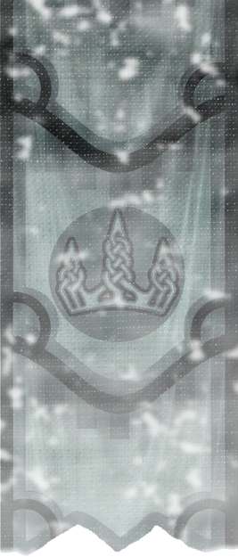 TESV Banner Winterholdcity