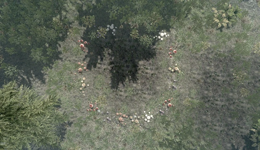 フェアリーサークル The Elder Scrolls Wiki Fandom