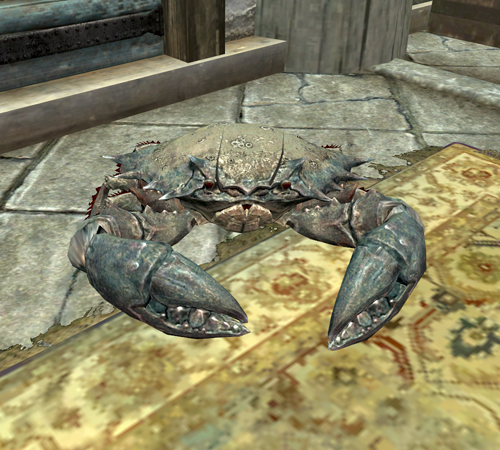 Pets (Hearthfire) | Elder Scrolls | Fandom Pets (Hearthfire) | Elder Scrolls | Fandom