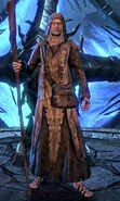 Varen after being freed from his prison in Coldharbour.