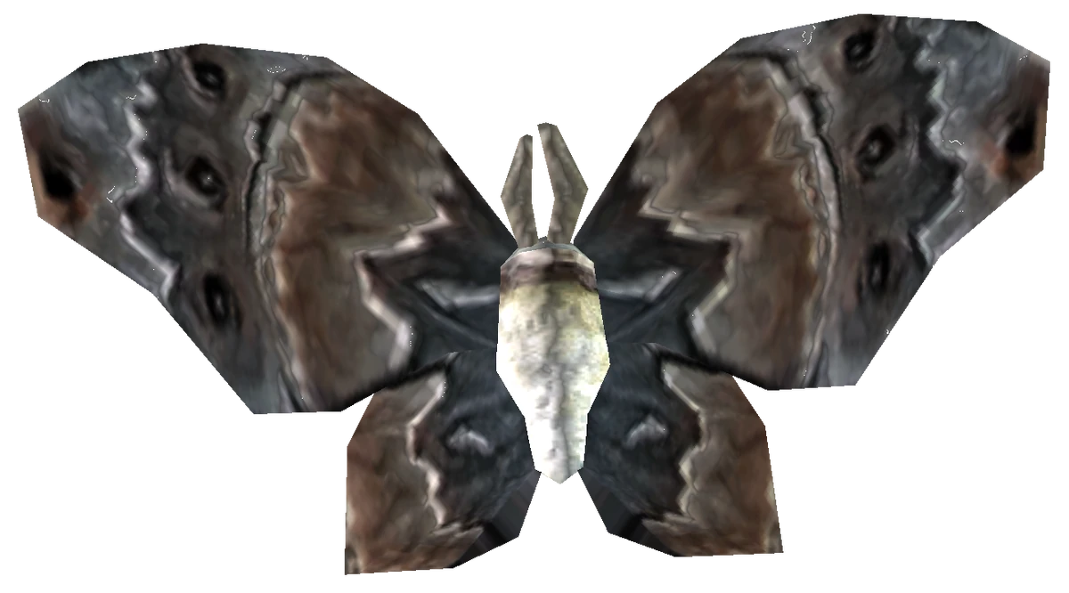 лиственничная волнянка. мотылек предок. мотылек предок. ночная бабочка бражник глазчатый. бабочка сатурния ио.