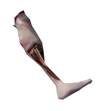 Severed Nord Leg