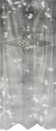 TESV Banner Dawnstar