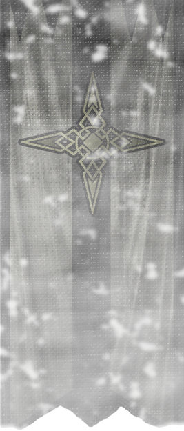 TESV Banner Dawnstar