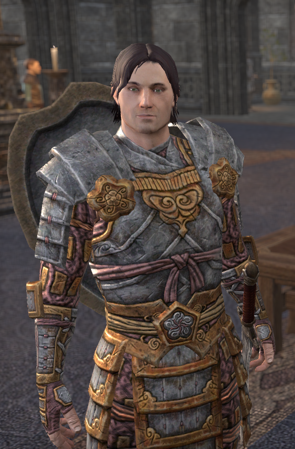 Elder Scrolls Wiki on X: Darien Gautier is a Breton captain of the Camlorn  Guard. Alinon the Alchemist describes him as a better tactician than his  father, General Gautier, even if he