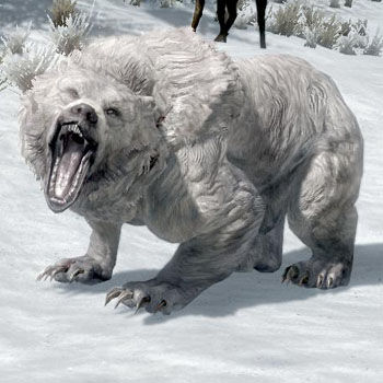 Bear Skyrim The Elder Scrolls Wiki Fandom Bear Skyrim The Elder Scrolls Wiki Fandom