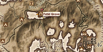 Fetid Grove Maplocation