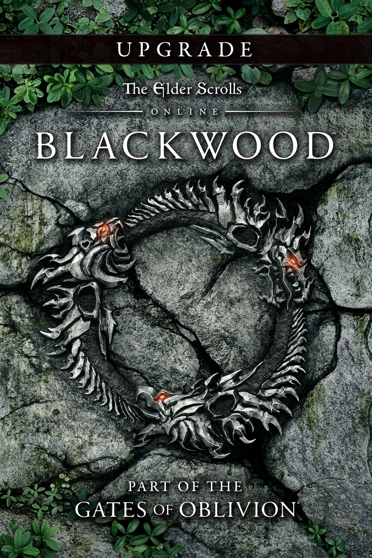 The Elder Scrolls Online: Blackwood | Elder Scrolls | Fandom