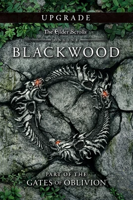 ESO Blackwood Box Art