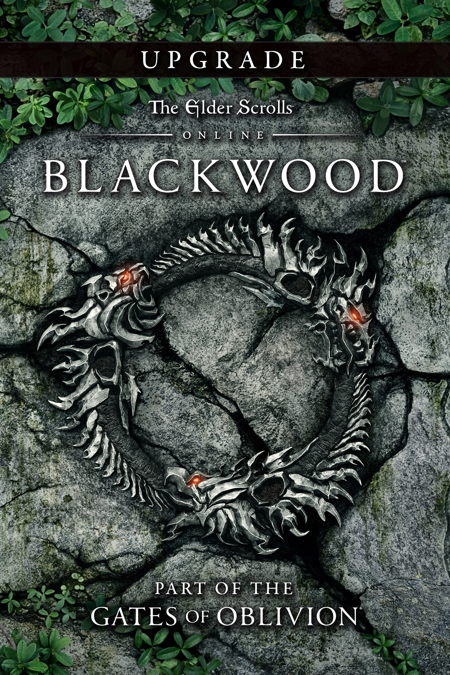  The Elder Scrolls Online Collection: Blackwood (PS4) : Video  Games