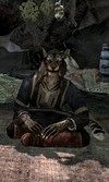 Skyrim K Ma'dran