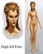High Elf Female