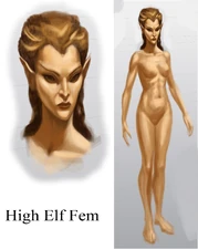 Concept art - Altmer vrouw in Skyrim