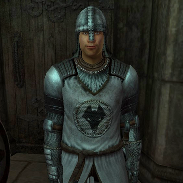 City Guard Armor | Elder Scrolls | Fandom