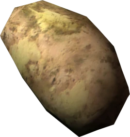 Potato