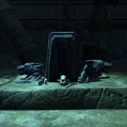 Crâne d'Artègue Croc-rouge