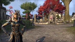 Queen Ayrenn (Vulkhel Guard)