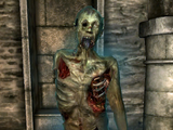 Dread Zombie (Oblivion)