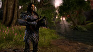 Altmer w The Elder Scrolls Online