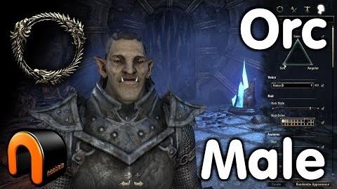 Elder Scrolls Online - Orc Male - Character Creation
